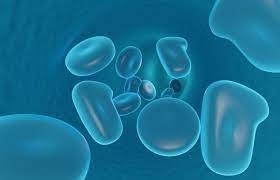 Vacuolas
