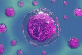 Lisosoma