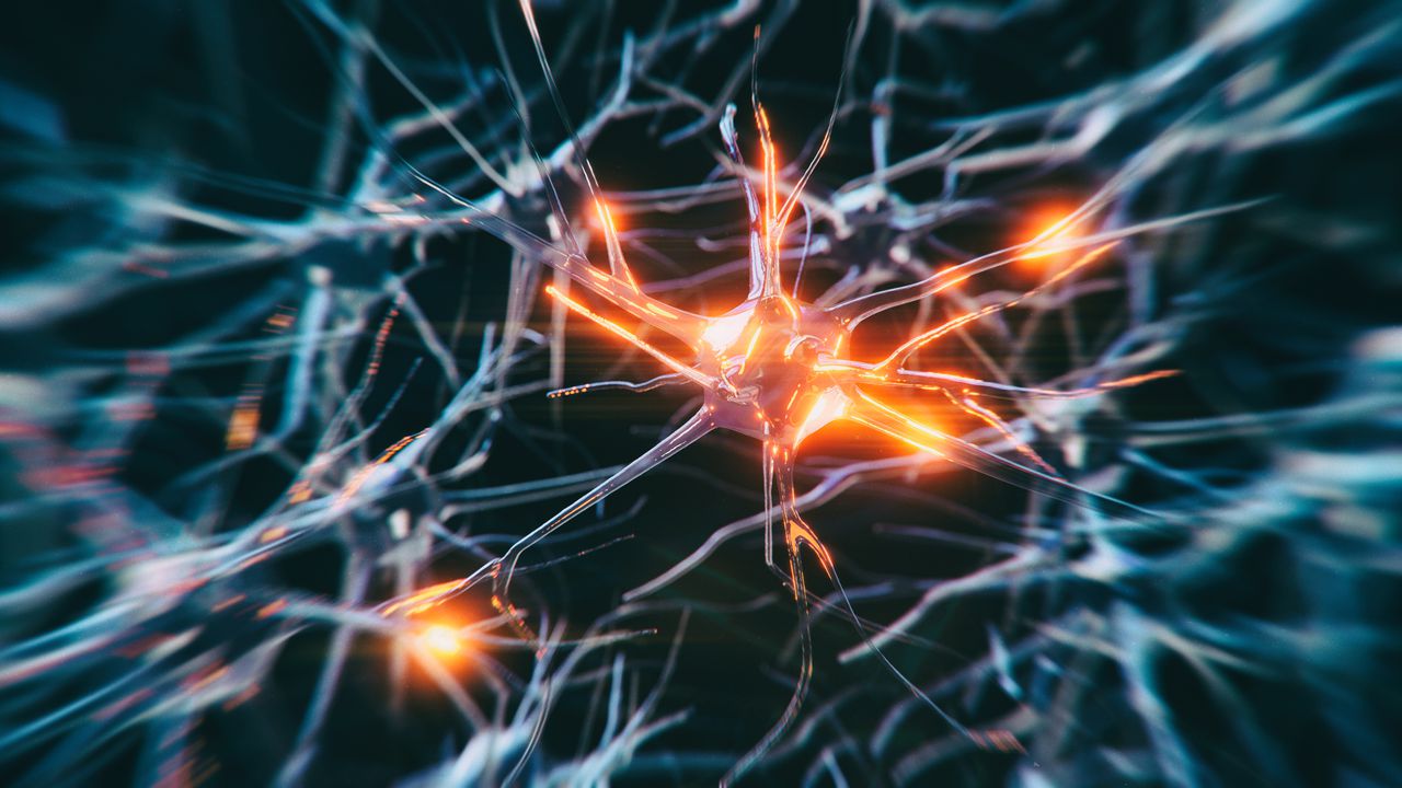 Neurona